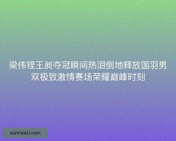 梁伟铿王昶夺冠瞬间热泪倒地释放国羽男双极致激情赛场荣耀巅峰时刻