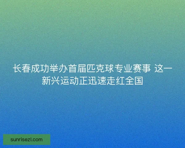 长春成功举办首届匹克球专业赛事 这一新兴运动正迅速走红全国