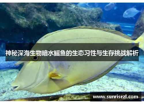 神秘深海生物暗水鳐鱼的生态习性与生存挑战解析