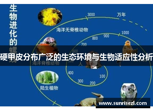 硬甲皮分布广泛的生态环境与生物适应性分析